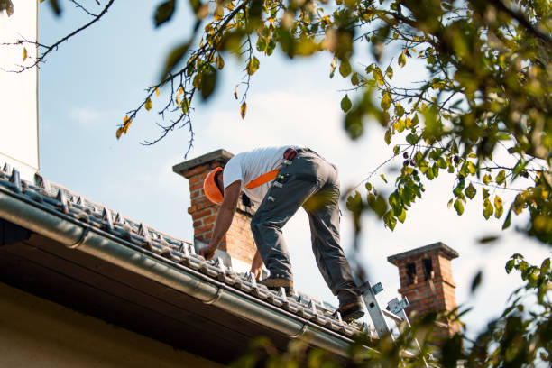 Best Roof Maintenance Services  in Milan, OH